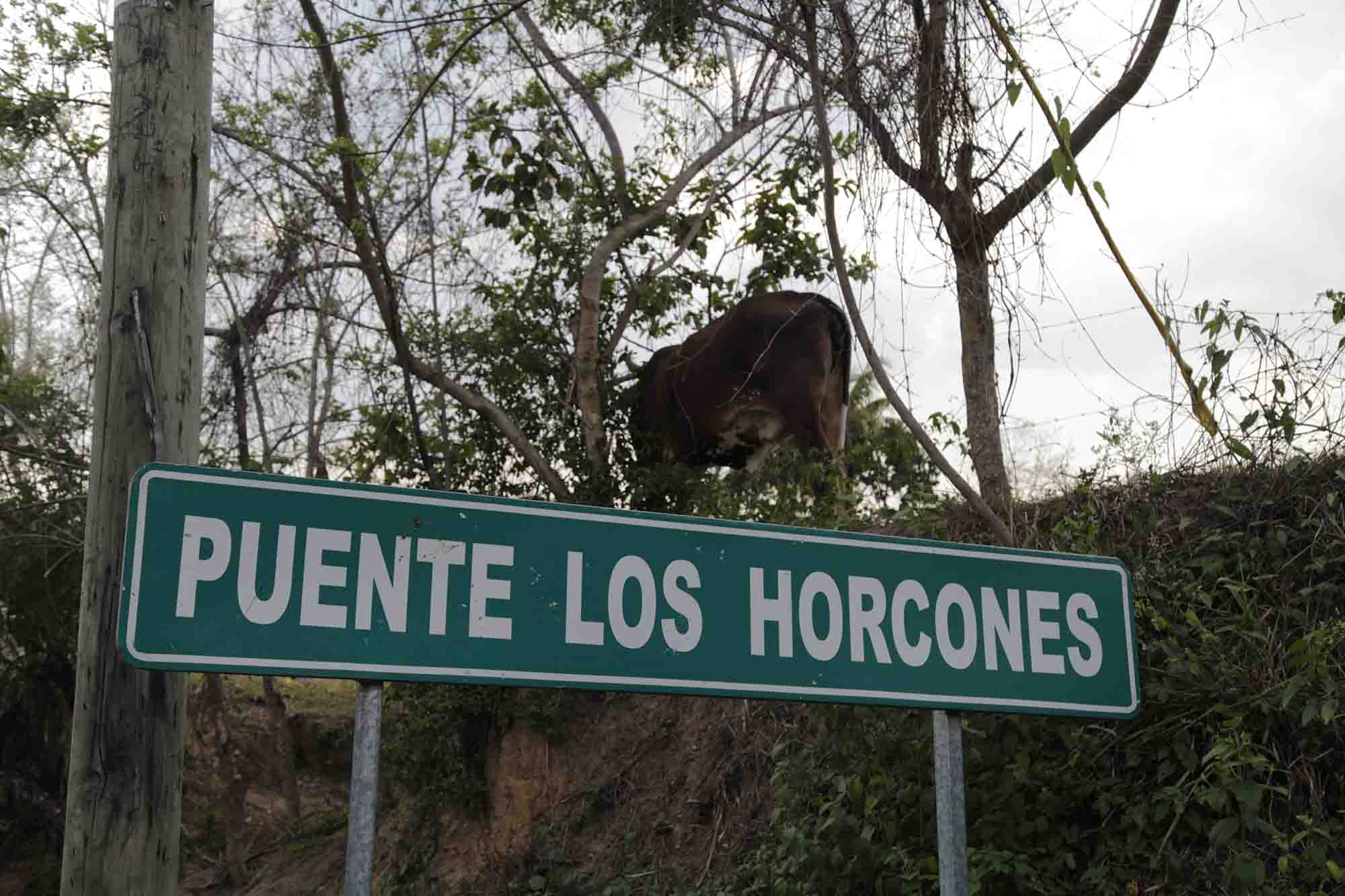 honduras_rr_16 - Contra Corriente gobierno de xiomara castro ley de amnistia honduras 2022 El retorno del clan Zelaya Xiomara Zelayas Mel Castro primera mujer presidenta de Honduras 2022 noticias congreso nacional hoy corrupción gobierno honduras 2022 puente los